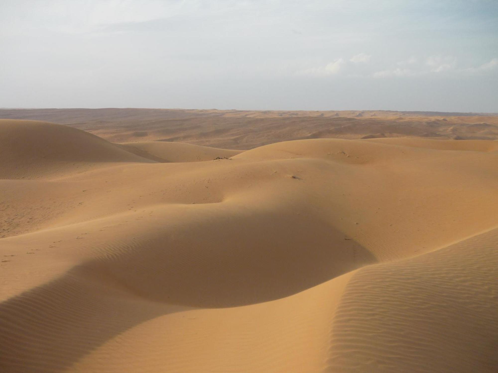 Desert Retreat Camp Al Wasil Экстерьер фото