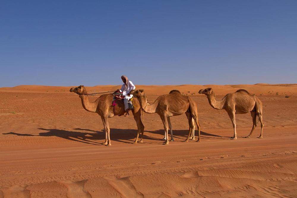 Desert Retreat Camp Al Wasil Экстерьер фото